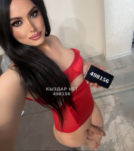 Транс Шымкента Транс№498156 Нихал-Приват канал Фотография №3754447