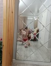 Фотография №3766345